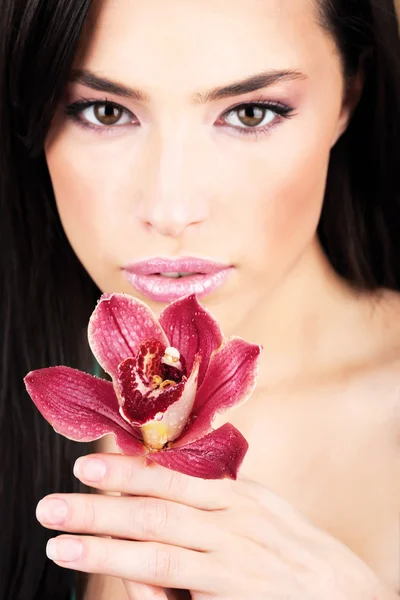 Röd orkidé i händerna — Stockfoto