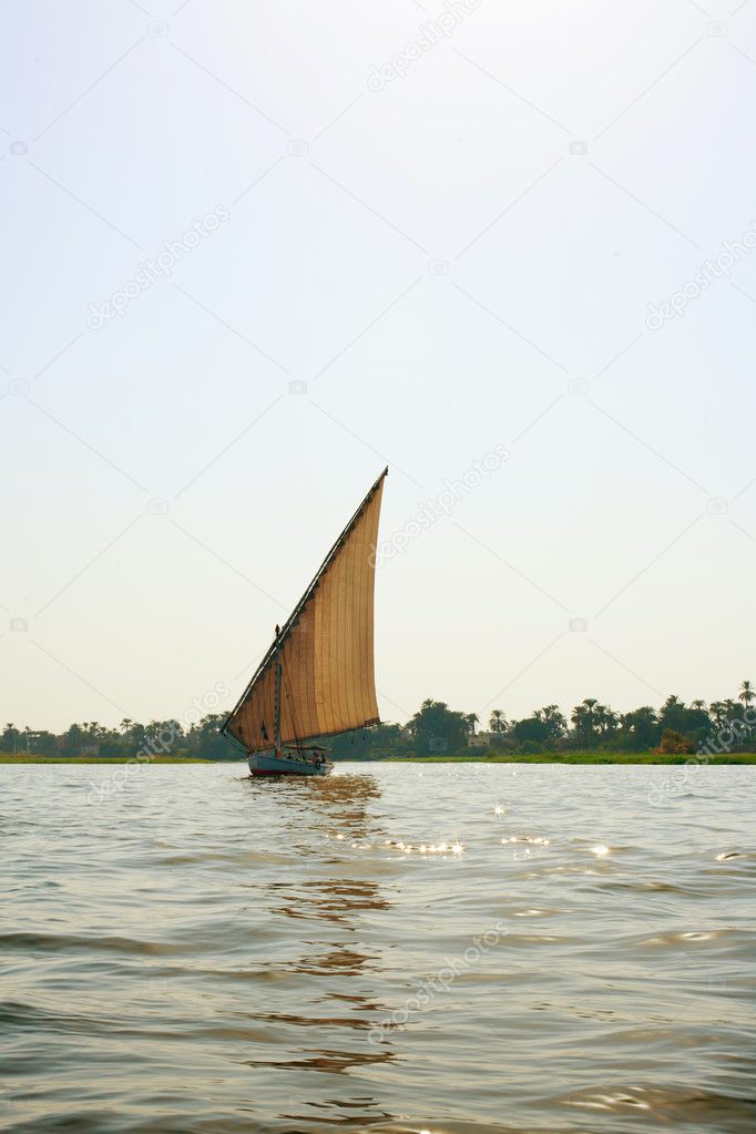Faluka on the Nile river