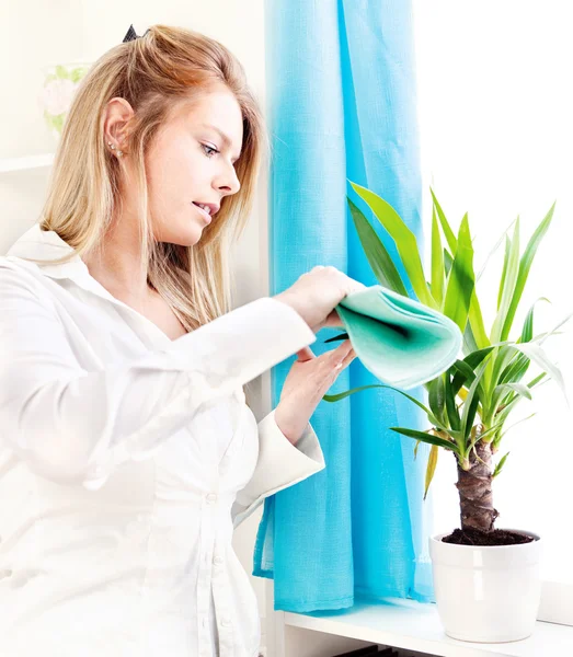 Woman clean leaves at home — Stock Photo, Image
