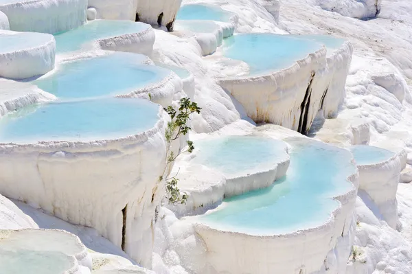 Blaue Wasser-Travertin-Pools bei Pamukkale, Türkei — Stockfoto