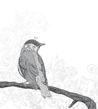 Hand Drawn Bird on Branch. clipart