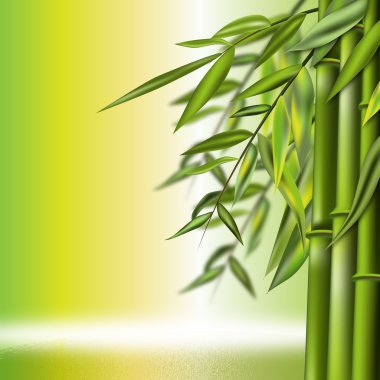 Bambu Arkaplanı