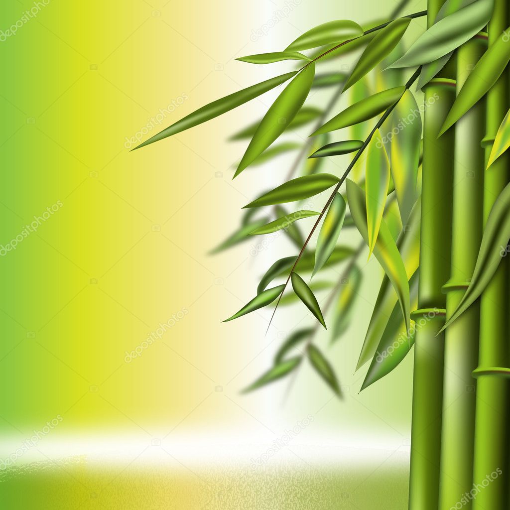 Bamboo background — Stock Vector © emeritus2010 #8646279