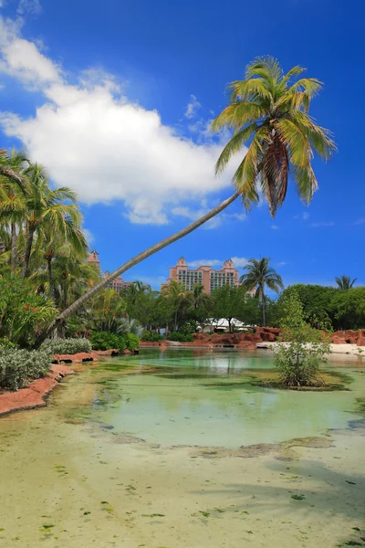 Bahamas4 のアトランティスのホテル — ストック写真