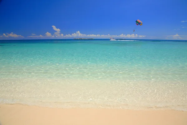 Playa Paradise —  Fotos de Stock
