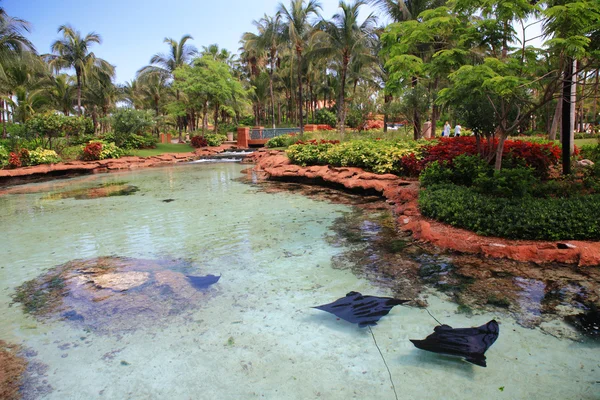 Atlantis in Bahamas — Stock Photo, Image