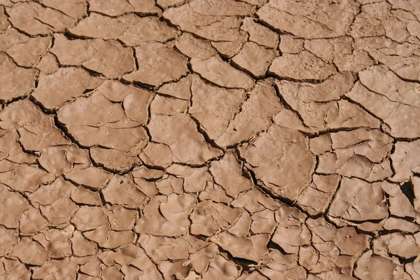Soil cracks — Stock Photo, Image