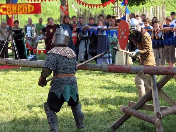 Рыцарский бой — стоковое фото