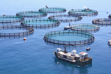 Fish farm on the sea clipart