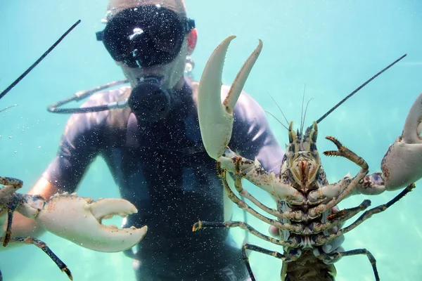 stock image Diver and lobster