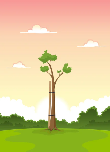 Wiosną młode drzewo - rano życia — Wektor stockowy