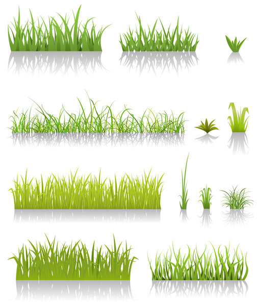 Зеленая трава
