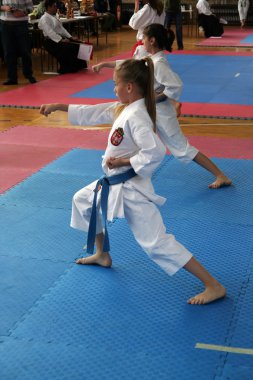 Karate Kupası