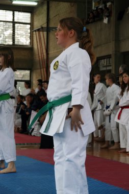 Karate Kupası