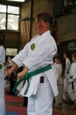 Karate Kupası