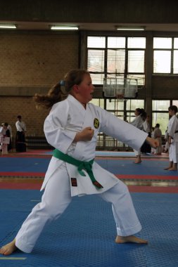 Karate Kupası