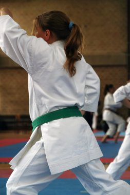 Karate Kupası