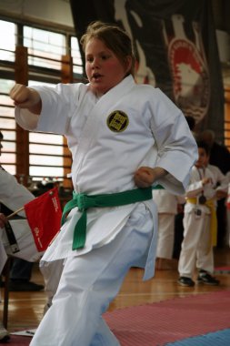 Karate Kupası