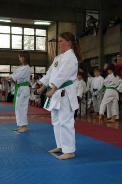 Karate Turnuvası