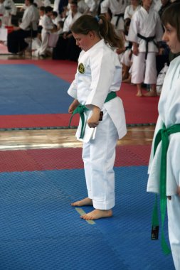 Karate Turnuvası