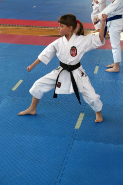 Karate Kupası