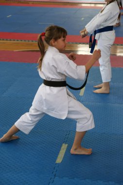 Karate Kupası