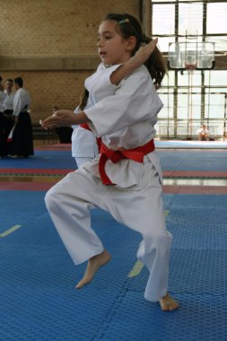 Karate Kupası