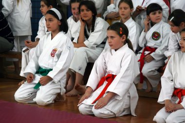 Karate Kupası