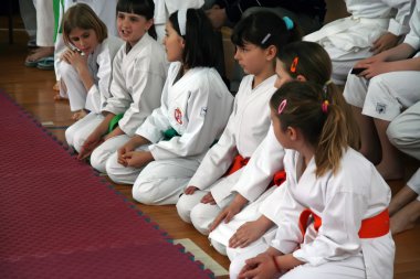 Karate Turnuvası