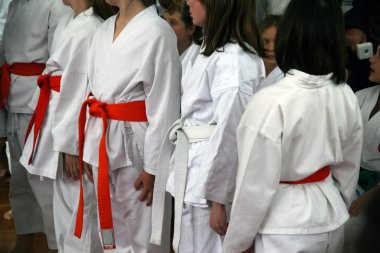 Karate Turnuvası