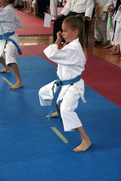 Copa de karate — Foto de Stock