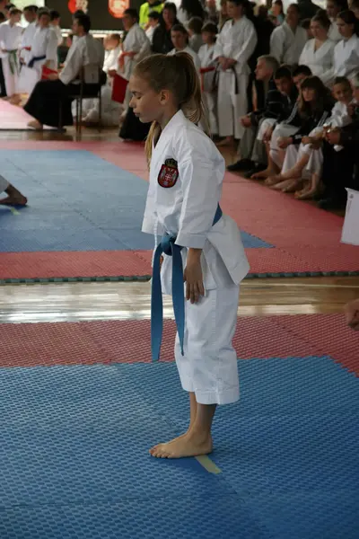Karate Kupası