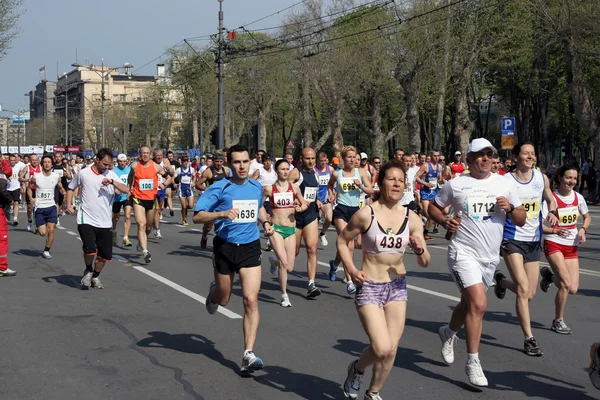 Maraton w Belgradzie — Zdjęcie stockowe