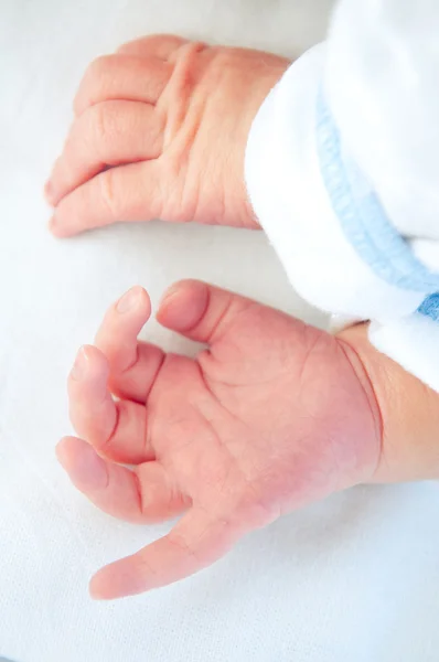 Newborn baby hands — Stock Photo, Image