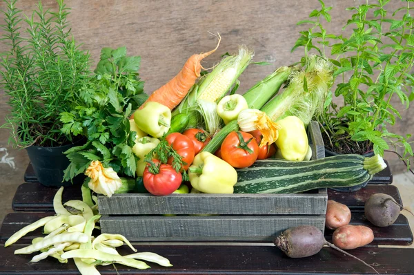 Herbes et légumes frais — Photo