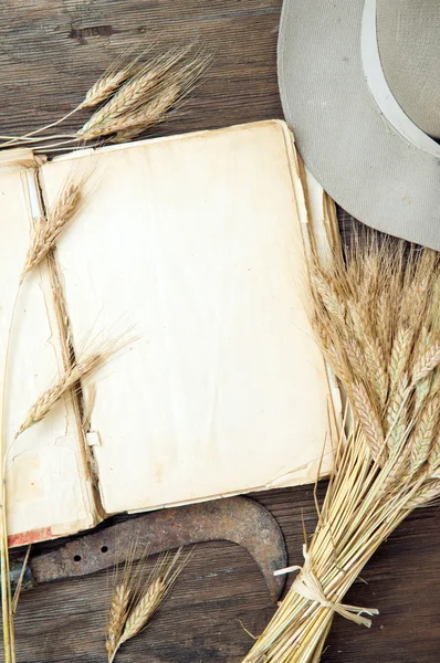 Old book with wheat — Stock Photo, Image
