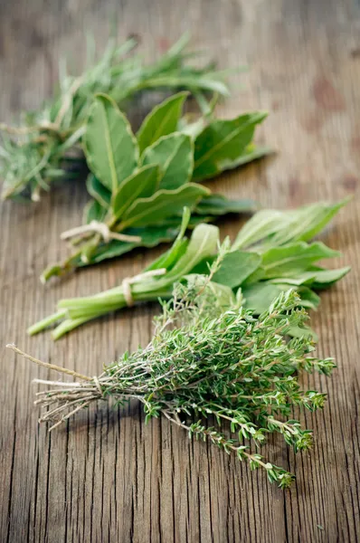 Fresh herbs Stock Image