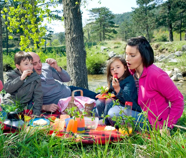 Молодая семья устраивает пикник — стоковое фото