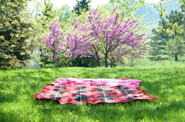 野餐毛毯 — 图库照片