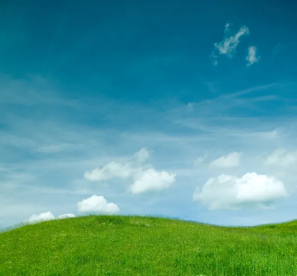 stock image Green and blue