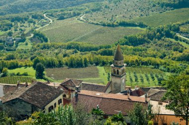 Motovun, Hırvatistan