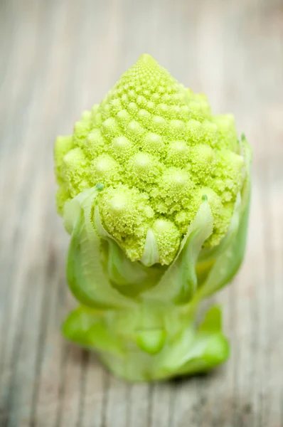 Brócoli románico —  Fotos de Stock