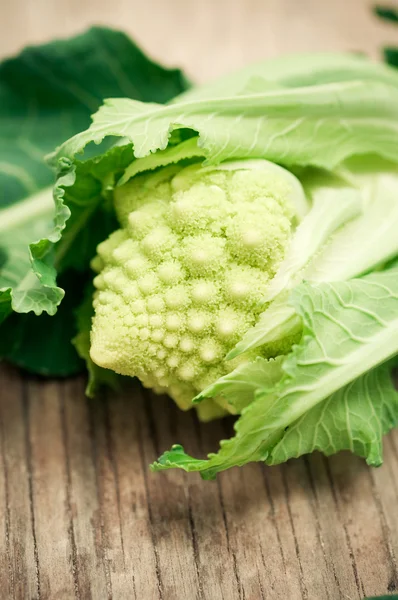 Broccoli romanici — Foto Stock