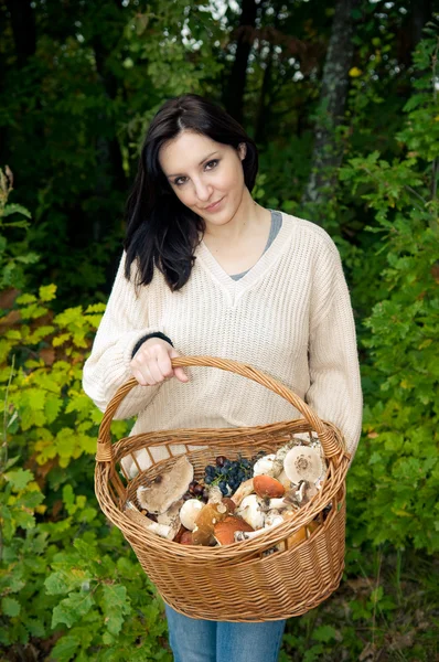 stock image Basket full of mushrooms