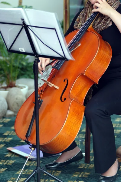 Играя на виолончели — стоковое фото