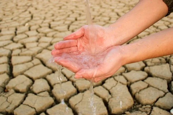 Agua dulce — Foto de Stock