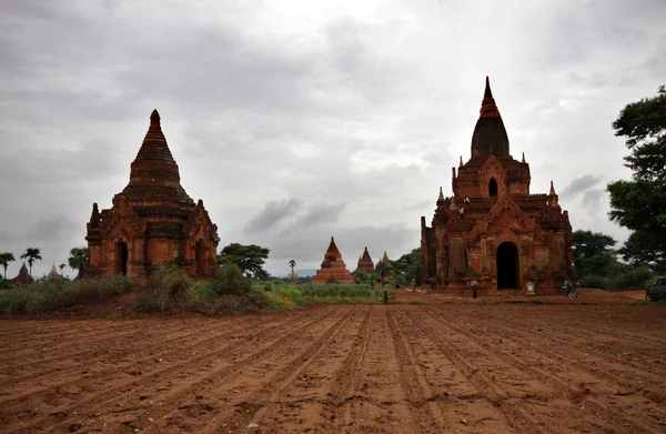 Bagan meadow with temples — Stock Photo, Image