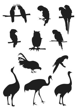 Birds silhouettes clipart