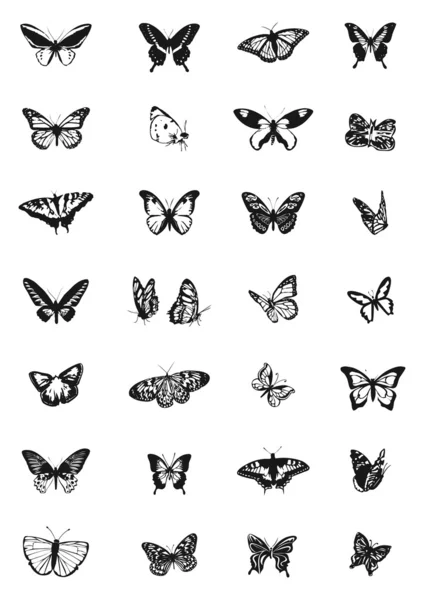 Set di farfalle — Stockvektor