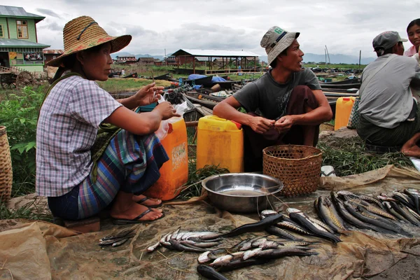 Myanmar couple selling fish at the market — Stock Photo, Image